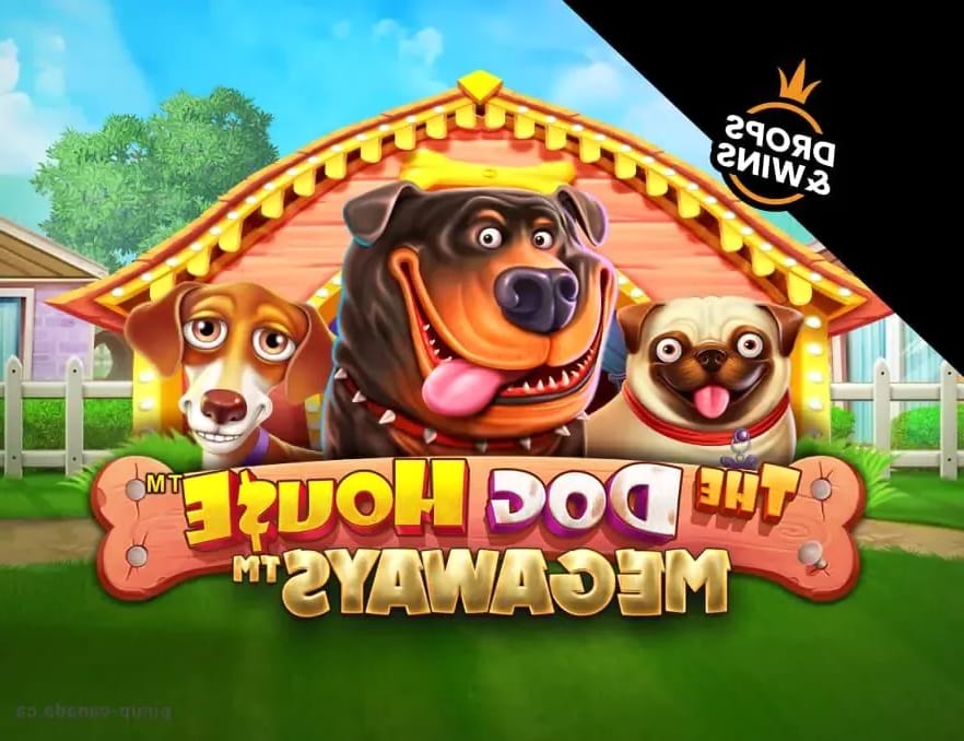 Gambling review site - Crazy Time (Gallery 1-32)